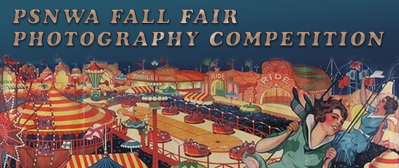 2016 Fall Fair Competition