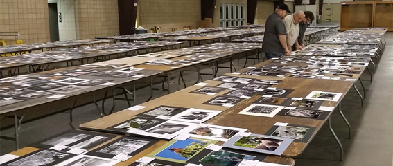 2017 PSNWA Members Judge OK State Fair Images