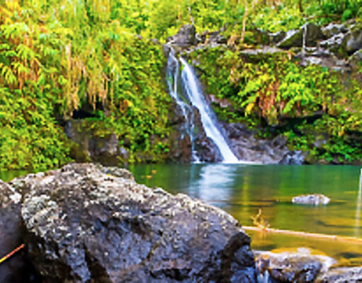 The One Lens Exercise