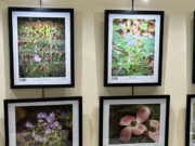 Hobbs – Summer Exhibit 2024
