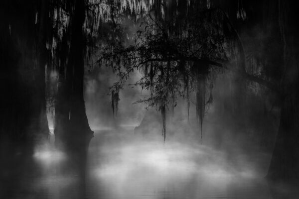 Mystery by Mickey Arlow