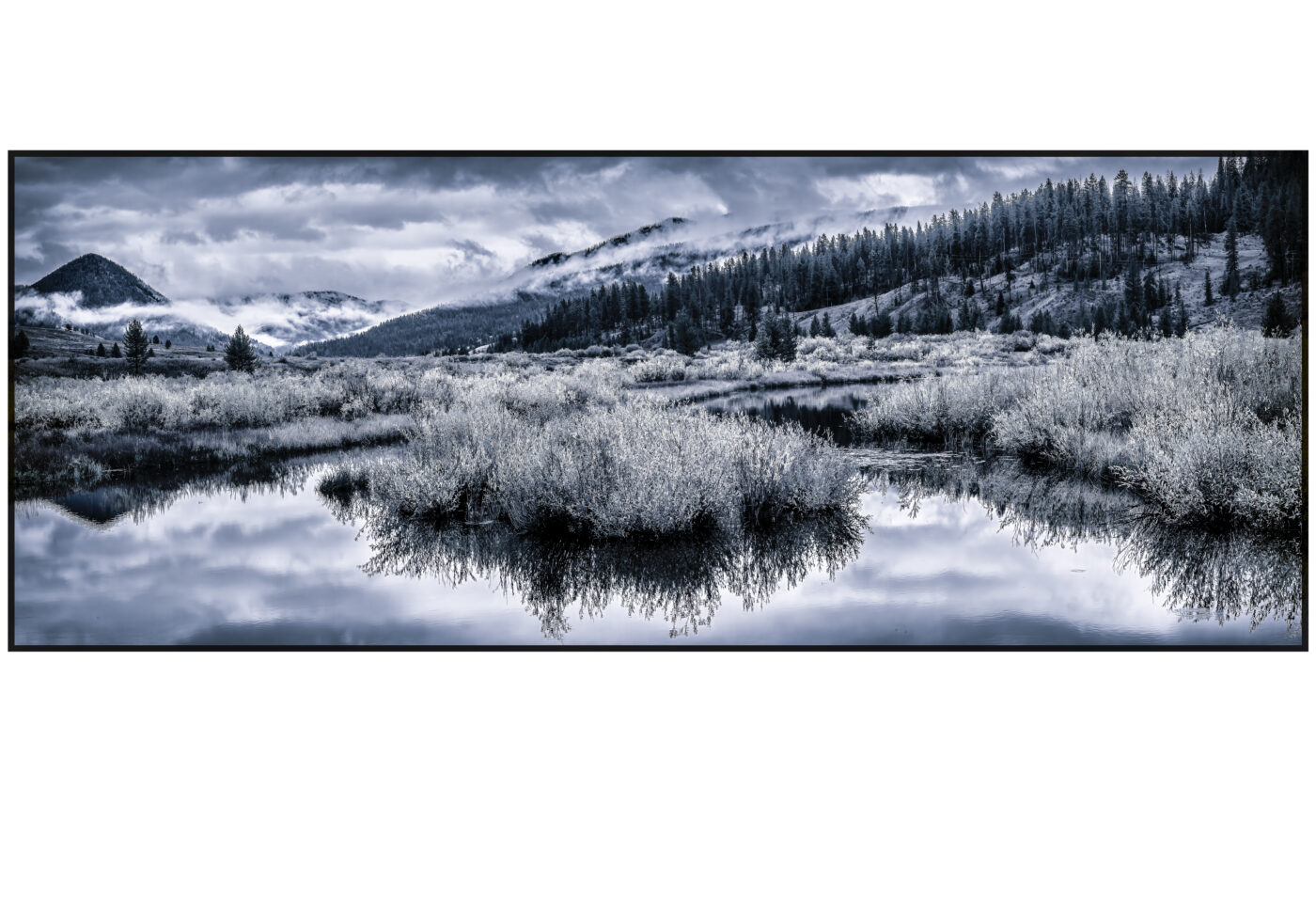 1st Runner Up | Fall in the Tetons by Howard Thompson