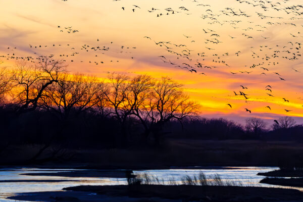 Magic on the Platte River by Mindy Musick King
