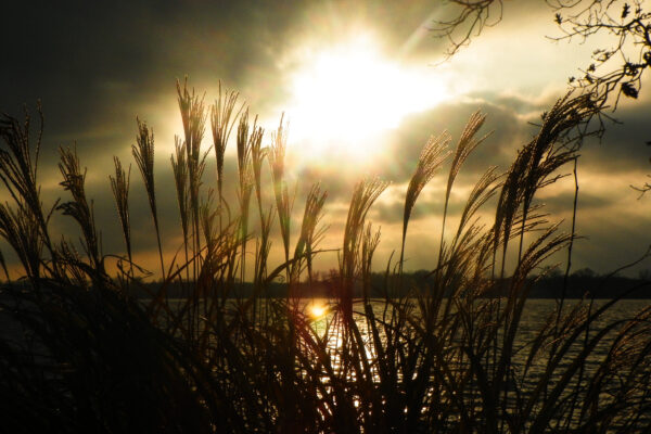 Heaven’s Gate by Regina Calvert