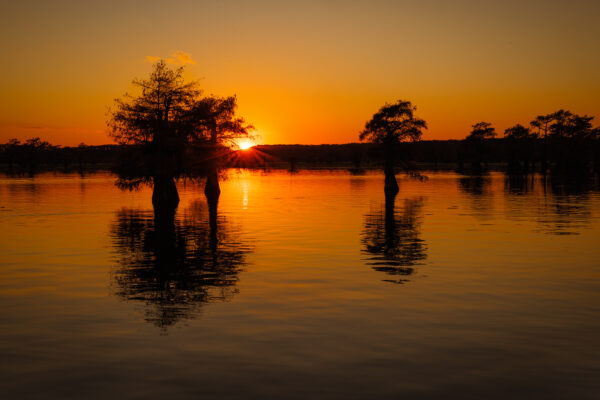 Quiet Evening by Mickey Arlow