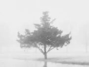 Minimalist Photography