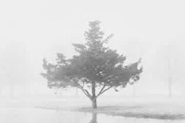 Minimalist Photography