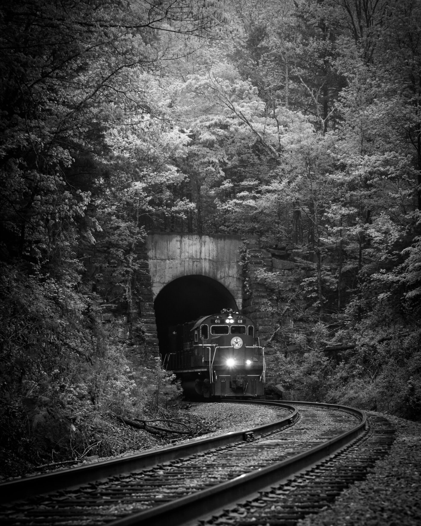 1st Place - Power and Glory by Dena Creamer