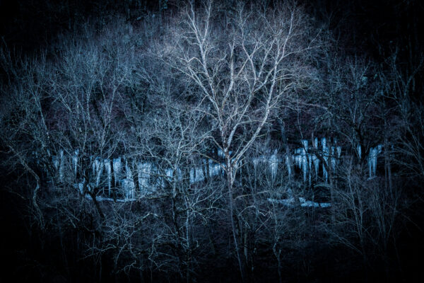 Dragon Teeth by Dena Creamer