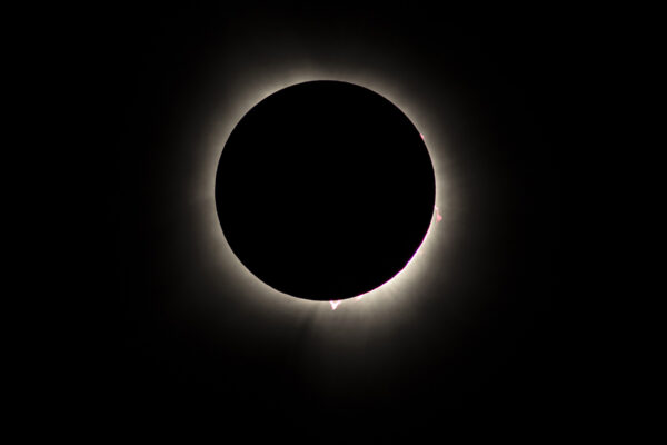 2nd Runner Up - Totality with Flares by Melissa Jones