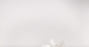 Tandem, Times Two by Pay Lewis