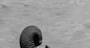 Mother and Child by Maggie Arguelles