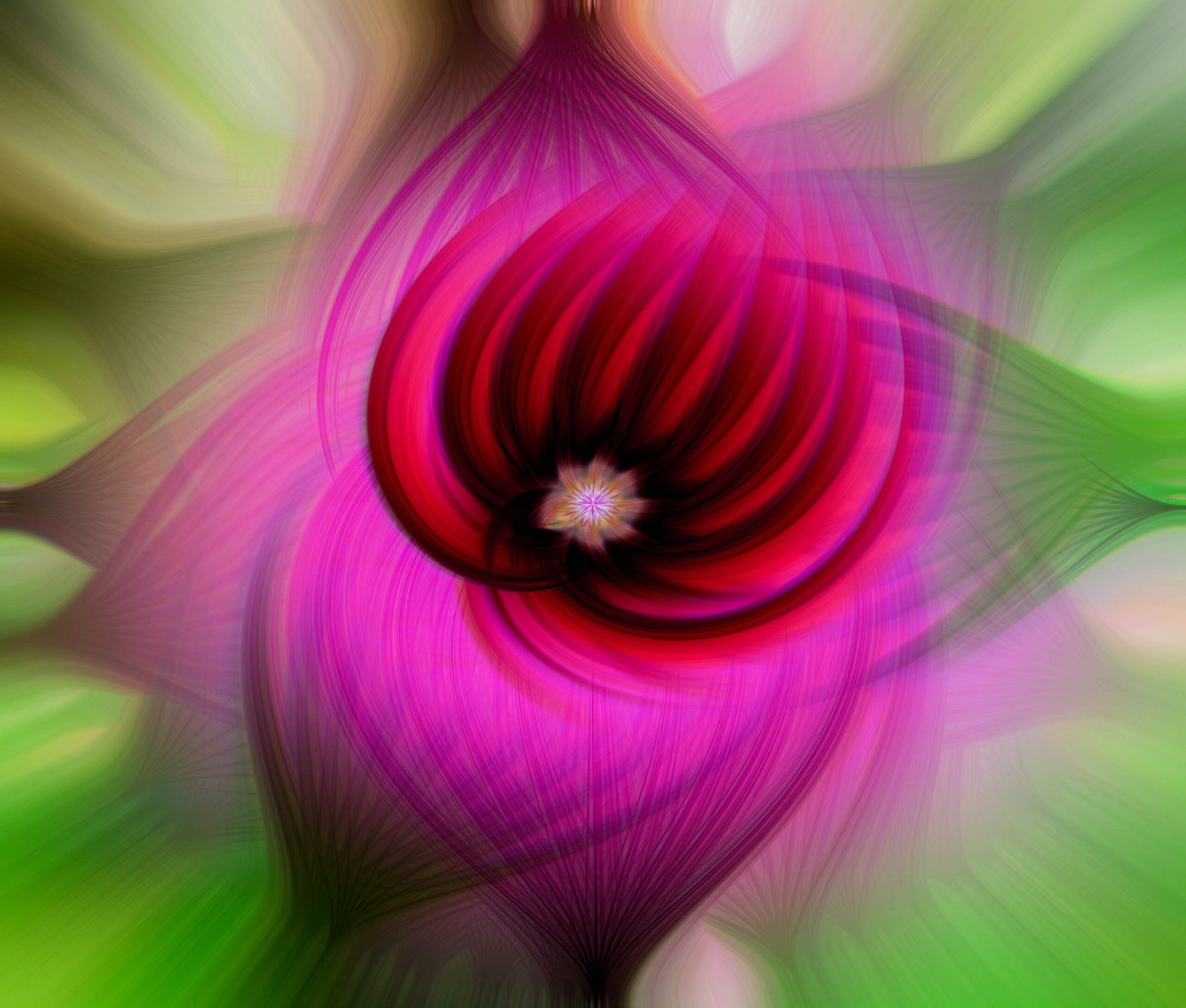 June Online Winning Image