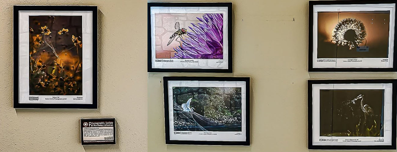 Hunt Nature Center Exhibit
